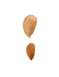 ALMENDRO AVIJOR/LAURANE 2