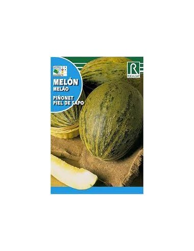 MELÓN PIÑONET PIEL SAPO 10g