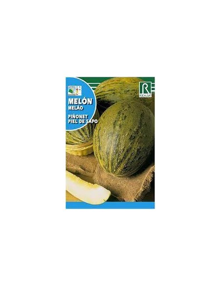 MELÓN PIÑONET PIEL SAPO 10g