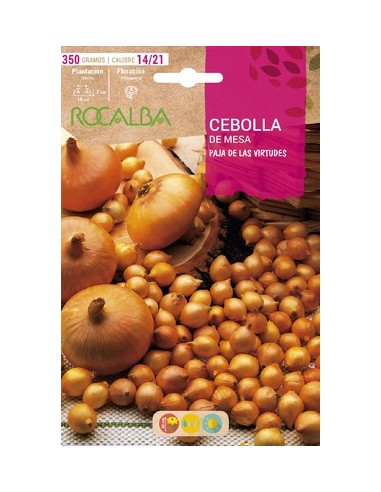 BULBOS CEBOLLA DE MESA AMARILLA 350G