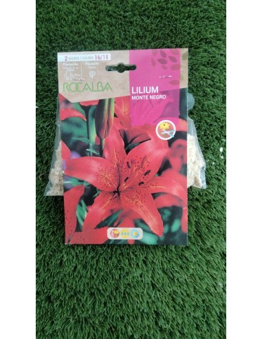 Bulbos Lilium Monte Negro Rocalba (2 bulbo)
