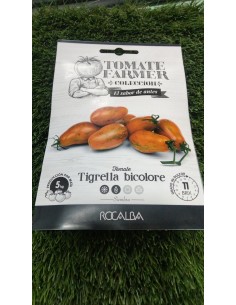TOMATE TIGRELLA BICOLORE