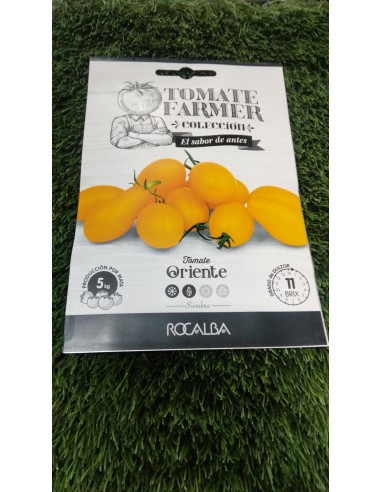 Semilla tomate Oriente
