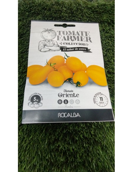 Semilla tomate Oriente