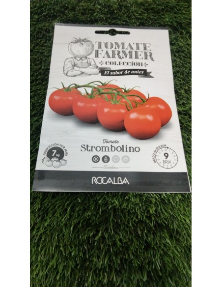 Semillas Tomate Farmer Strombolino