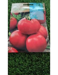 Semilla Tomate Ace 55 Vf 1g