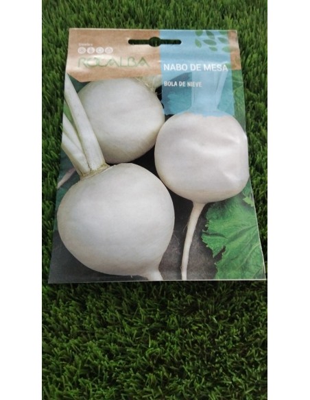 Nabo de mesa Bola de nieve 10g