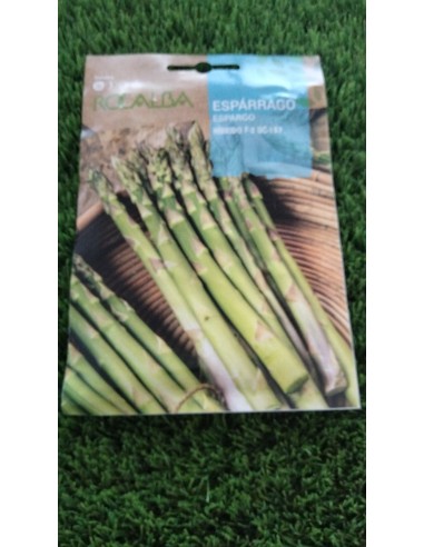 Semillas Espárrago UC-157 3g