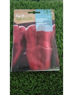 Semillas de Pimiento Grueso de Plaza 1g