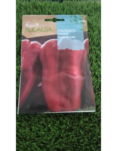 Semillas de Pimiento Grueso de Plaza 1g