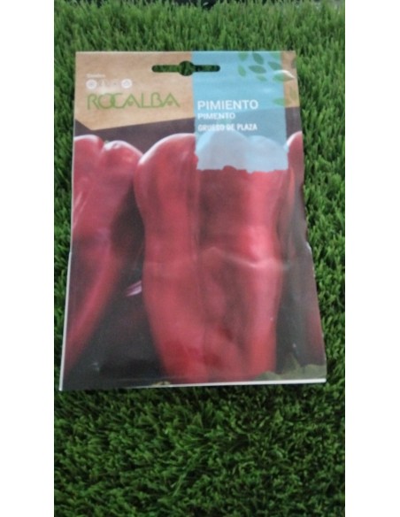 Semillas de Pimiento Grueso de Plaza 1g