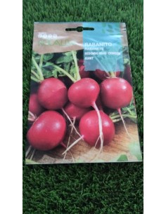 Semillas rabanito redondo rojo crimson giant 10g