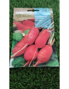 Semillas rabanito datil rojo 10g