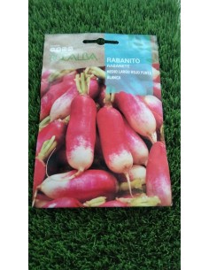 Semillas rabanito medio largo rojo punta blanca 10g