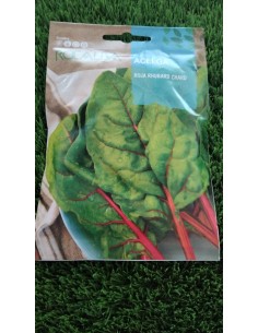 Semilla Acelga Roja Rhubarb Chard 10g