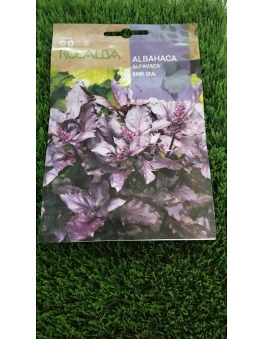 Semillas Albahaca Dark Opal 4g