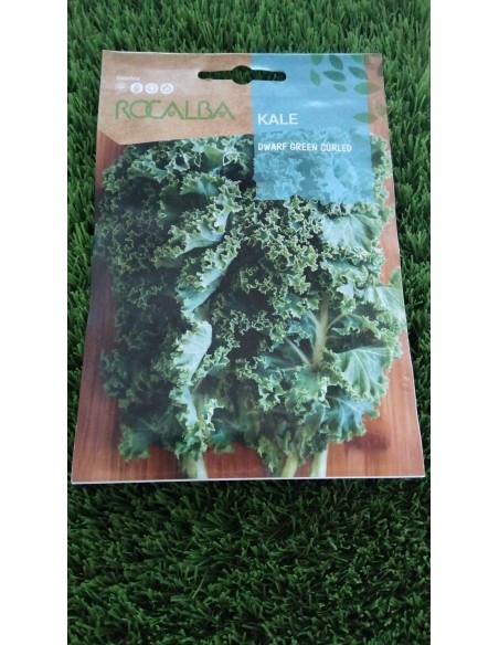Semillas Kale Dwarf Green 6g