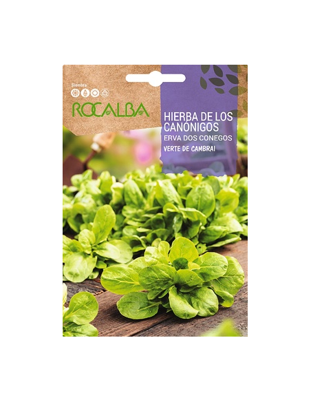 Semilla Hierba de los canónigos 6g