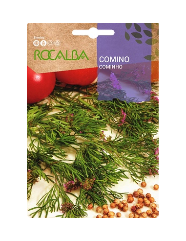 Semilla Comino 6g