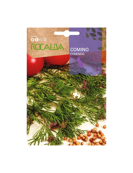 Semilla Comino 6g