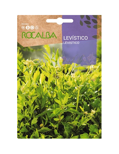 Semilla Levístico 1g