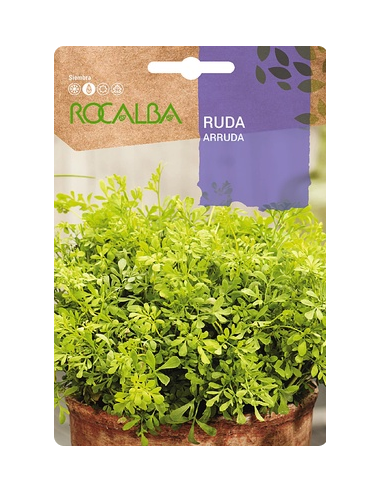Semilla Ruda 0.5g