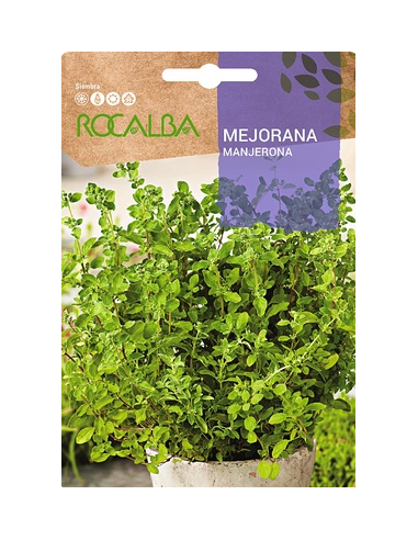 Semilla Mejorana 1g