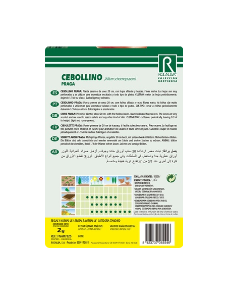 Semilla Cebollino 2g