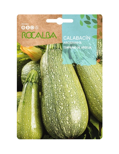 Semilla Calabacín Temprano de Argelia 8g
