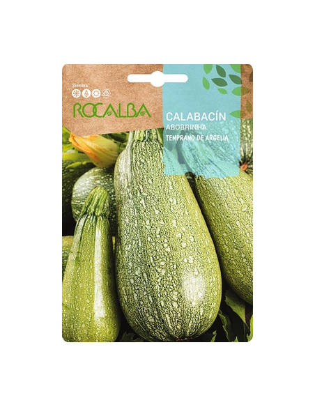 Semilla Calabacín Temprano de Argelia 8g