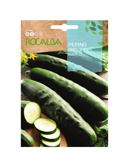 Semilla Pepino Ashley 6g