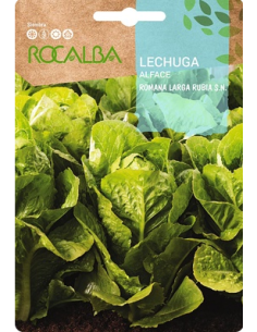 Semillas Lechuga Romana larga Rubia S.N. 6g