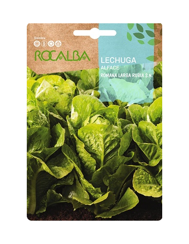 Semillas Lechuga Romana larga Rubia S.N. 6g