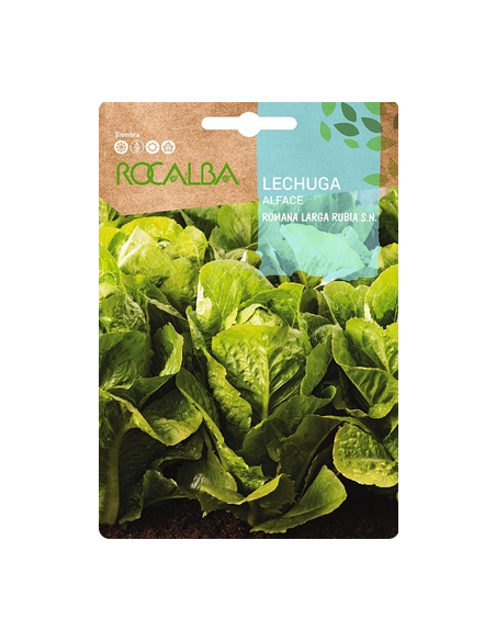 Semillas Lechuga Romana larga Rubia S.N. 6g