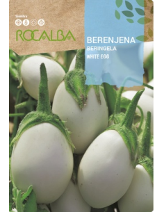 Semilla Berenjena Blanca White egg 2g