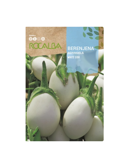 Semilla Berenjena Blanca White egg 2g