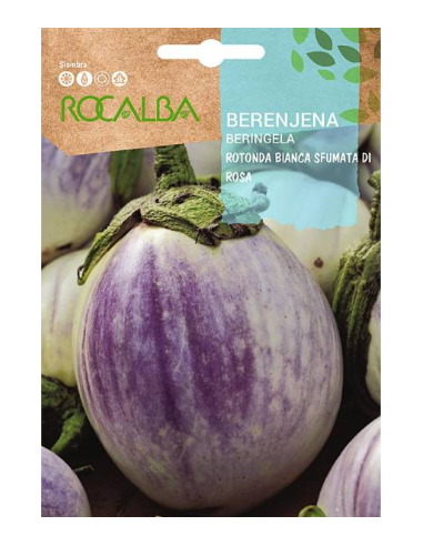Semilla Berenjena Rosa Rotonda Bianca Sfumata 3g
