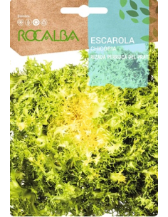 Semillas Escarola Rizada Perruca del Prat 6g