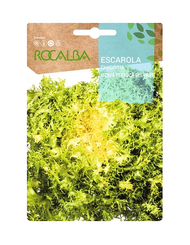 Semillas Escarola Rizada Perruca del Prat 6g