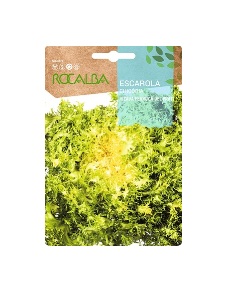 Semillas Escarola Rizada Perruca del Prat 6g