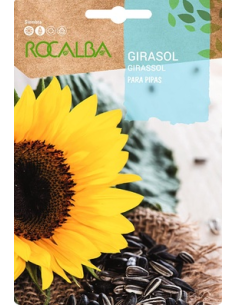 Semillas Girasol para Pipas 10g