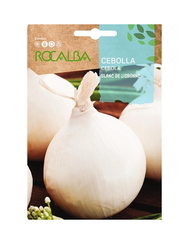 Semilla Cebolla Blanca Blanc de Lisbone 4g