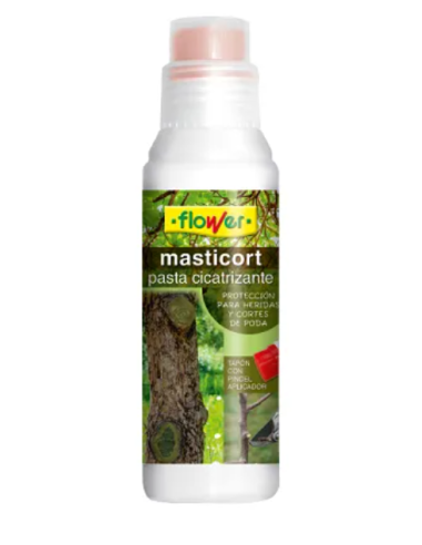 Pasta cicatrizante masti cort 250 gr