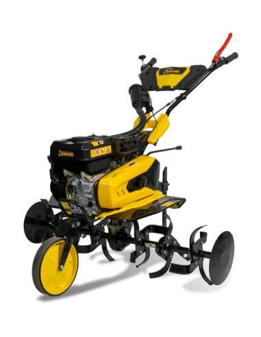 MOTOAZADA GARLAND DONKEY 693R-V24