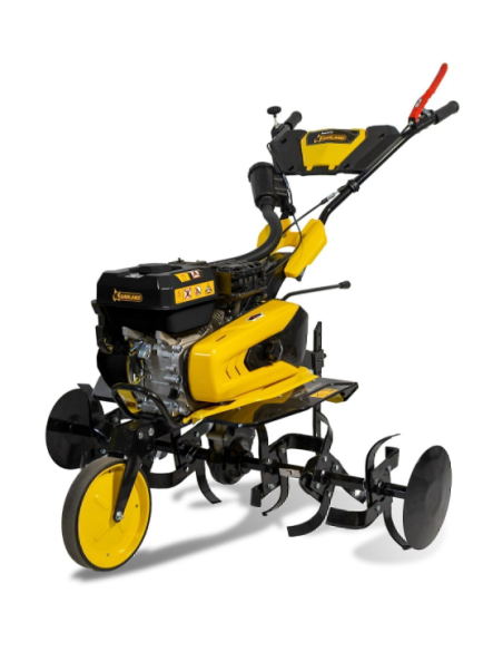 MOTOAZADA GARLAND DONKEY 693R-V24