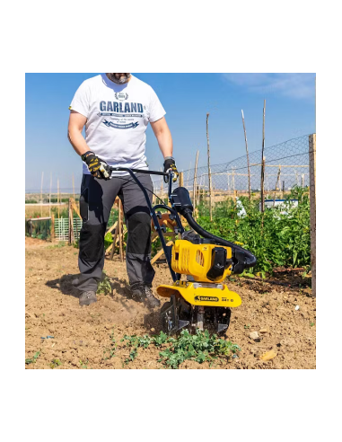MOTOAZADA GARLAND MULE 341G-V24