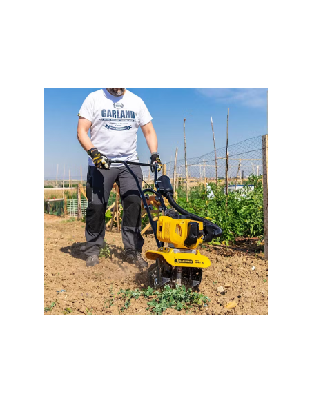 MOTOAZADA GARLAND MULE 341G-V24