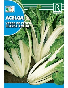 ACELGA PENCA BLANCA 25g