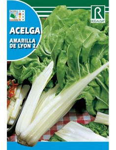 ACELGA AMARILLA DE LYON 25g