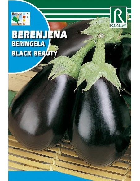 BERENJENA BLACK BEAUTY 3g
